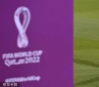 莎拉波娃的丈夫是谁
