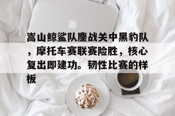 开云体育-关于嵩山鲸鲨队鏖战关中黑豹队，摩托车赛联赛险胜，核心复出即建功。韧性比赛的样板的信息